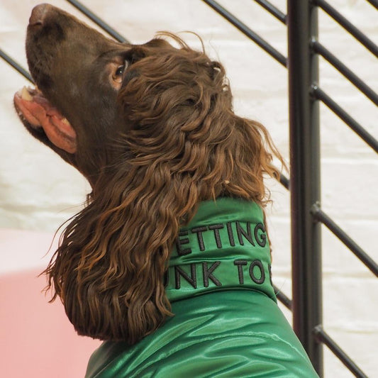 Glossy Zip Up Puffer Ski Jacket by OVERGLAM DS (GREEN)