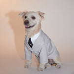 Load image into Gallery viewer, Suit Jacket by OVERGLAM DS (GREY)
