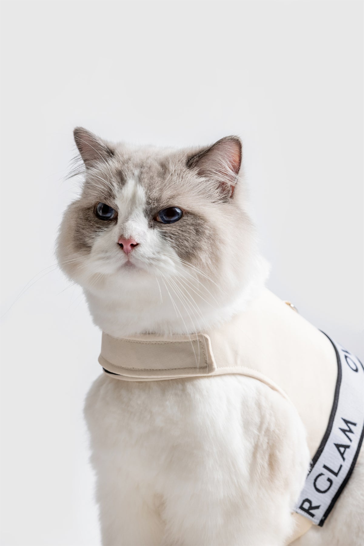 Ribbon Pastel Harness by OVERGLAM DS (CREAM)