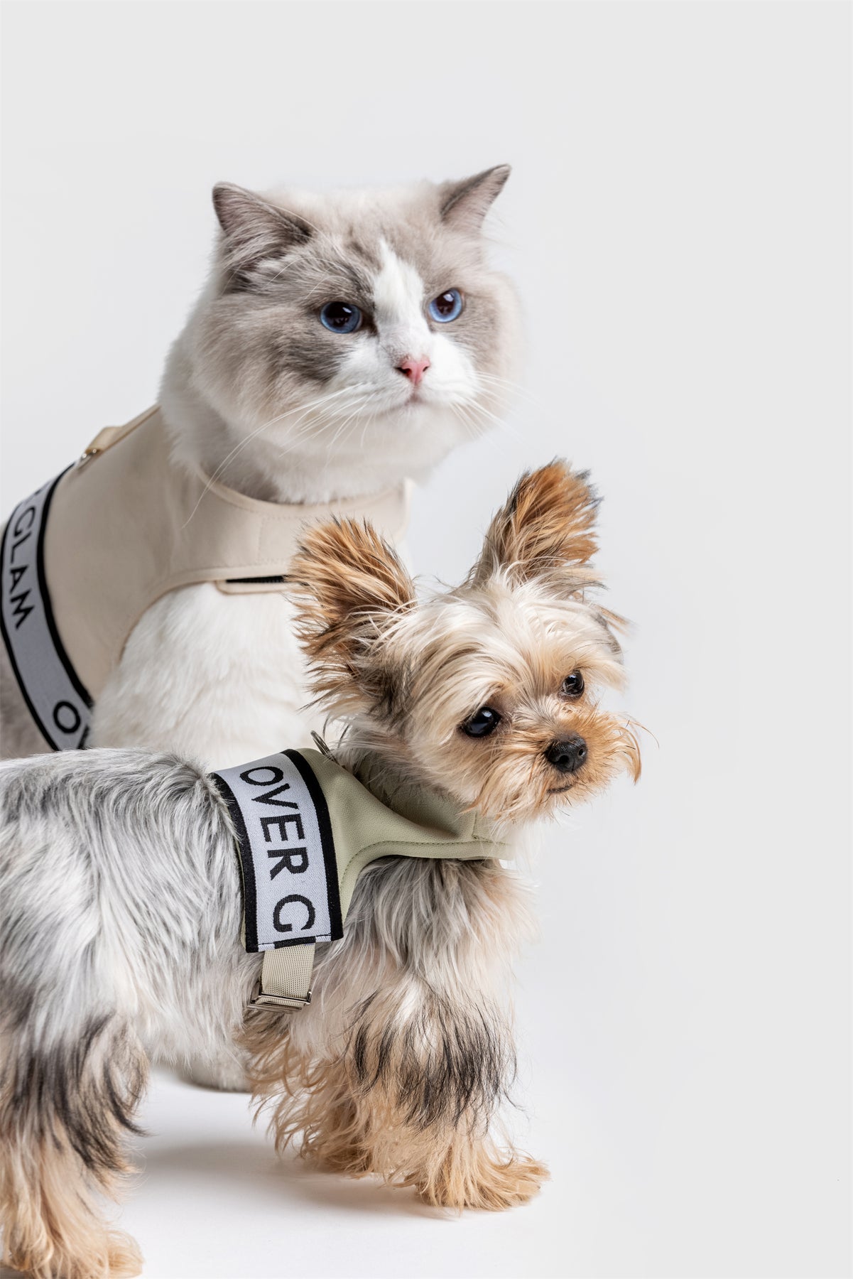 Ribbon Pastel Harness by OVERGLAM DS (AVOCADO)