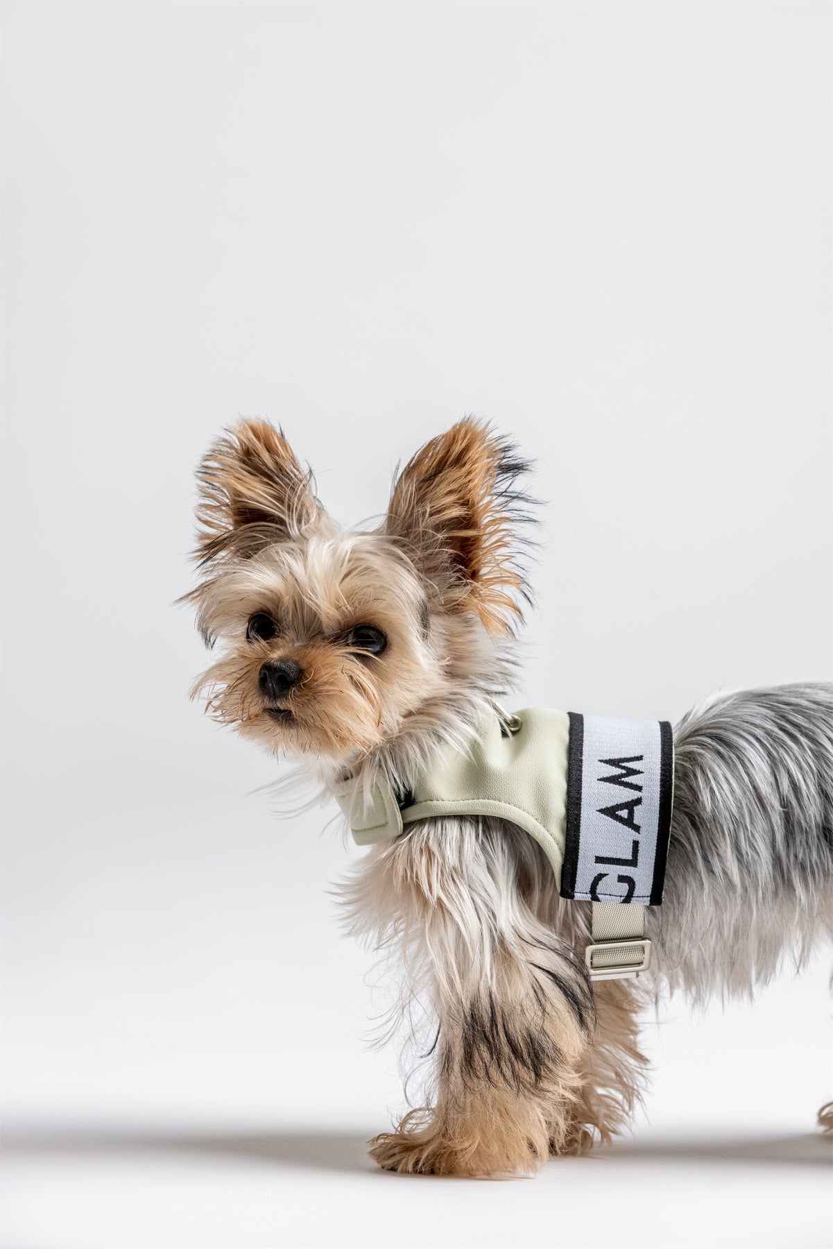 Ribbon Pastel Harness by OVERGLAM DS (AVOCADO)