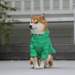 Load image into Gallery viewer, Zip-up Puffer Jacket with Hood by OVERGLAM DS (GREEN)
