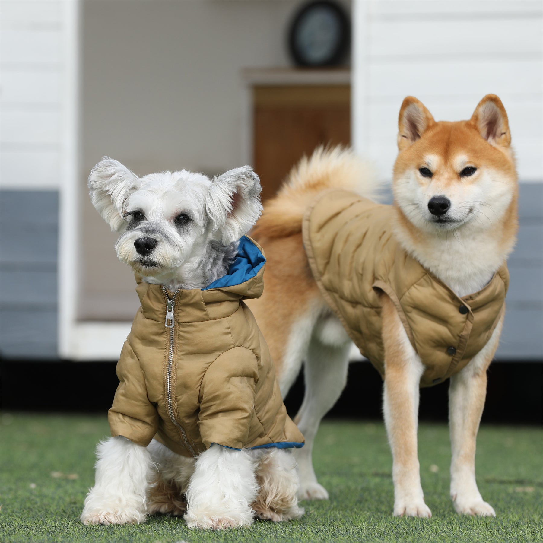 Zip-up Puffer Jacket with Hood by OVERGLAM DS (KHAKI)