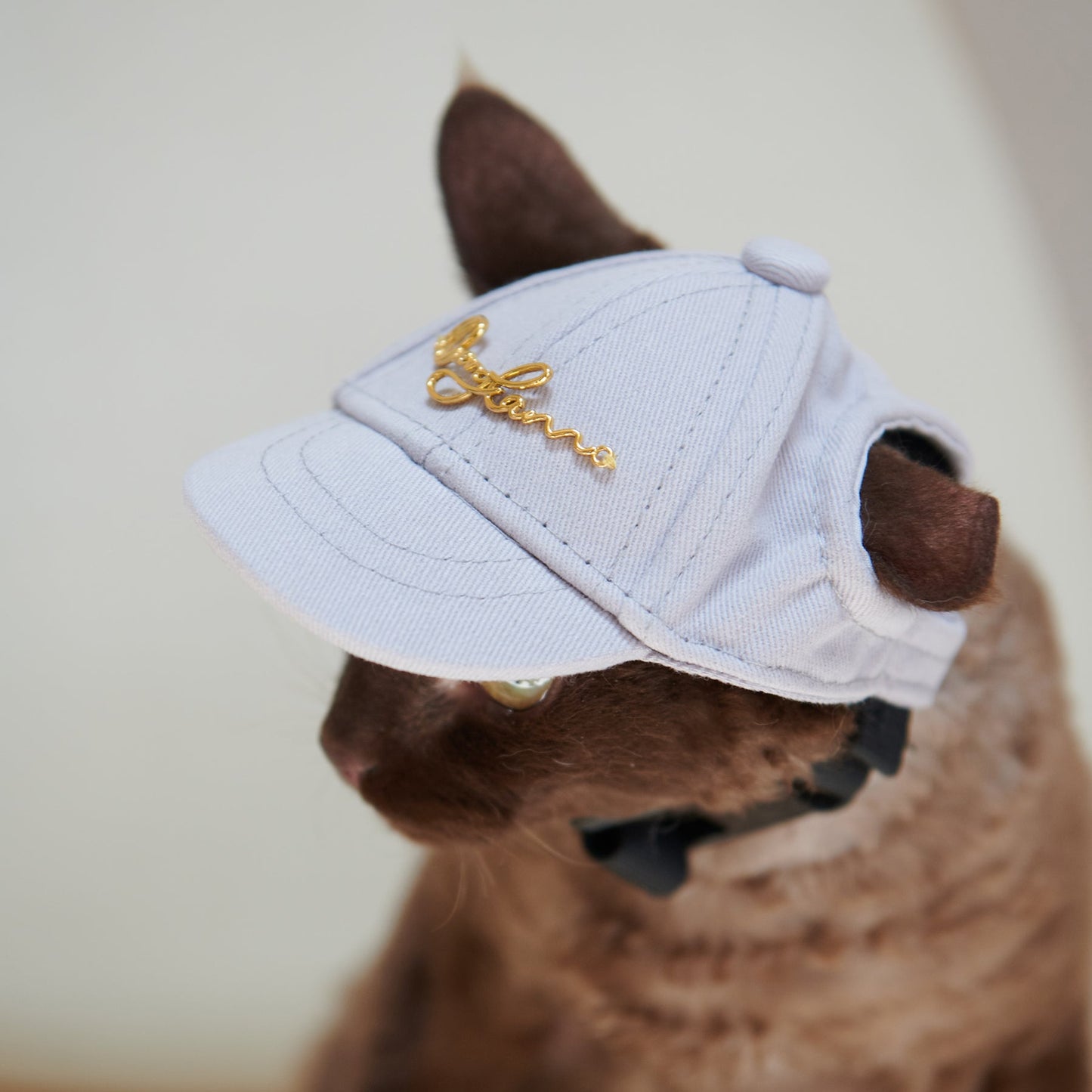 Puppy Cap With Golden Logo by OVERGLAM DS (GREY)