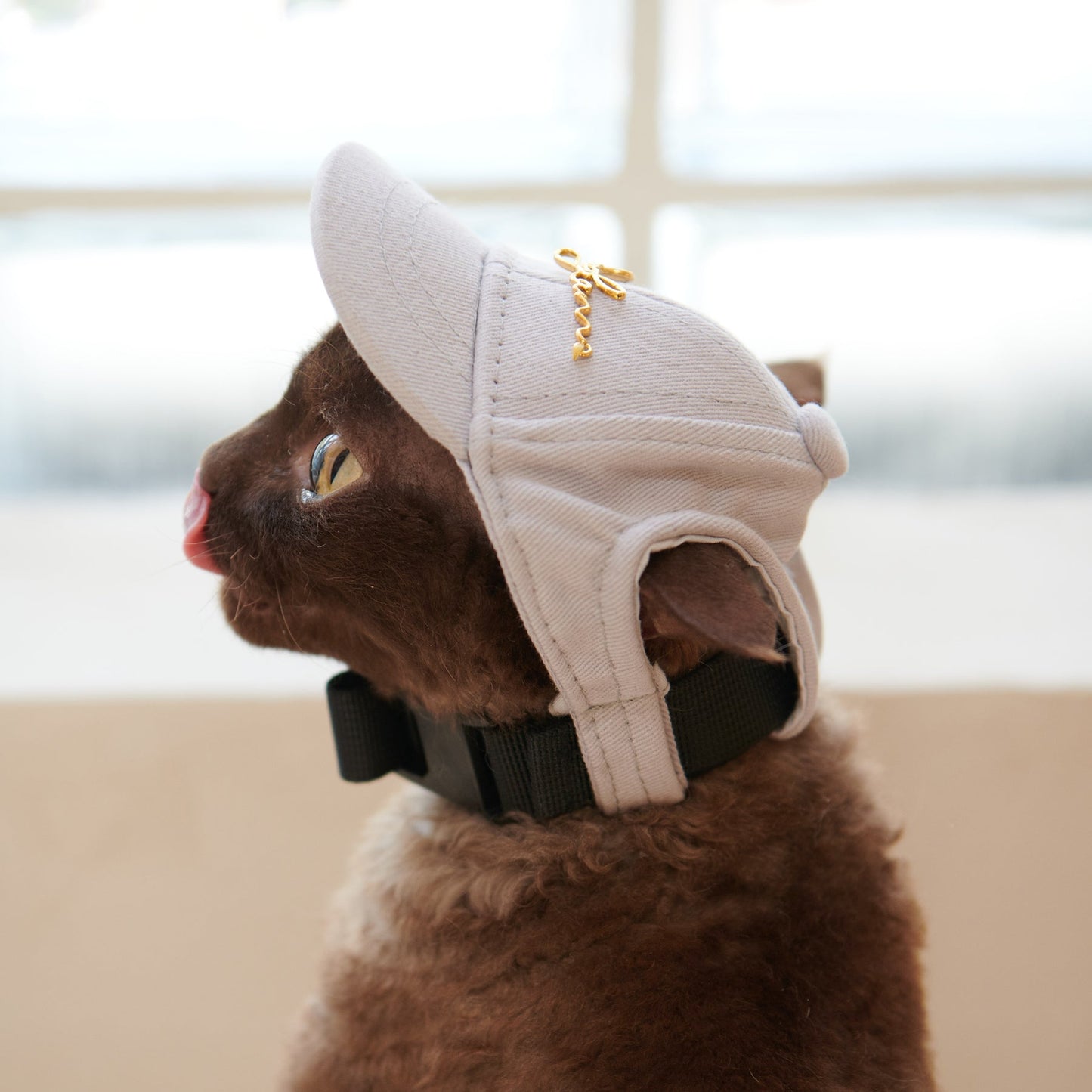 Puppy Cap With Golden Logo by OVERGLAM DS (GREY)