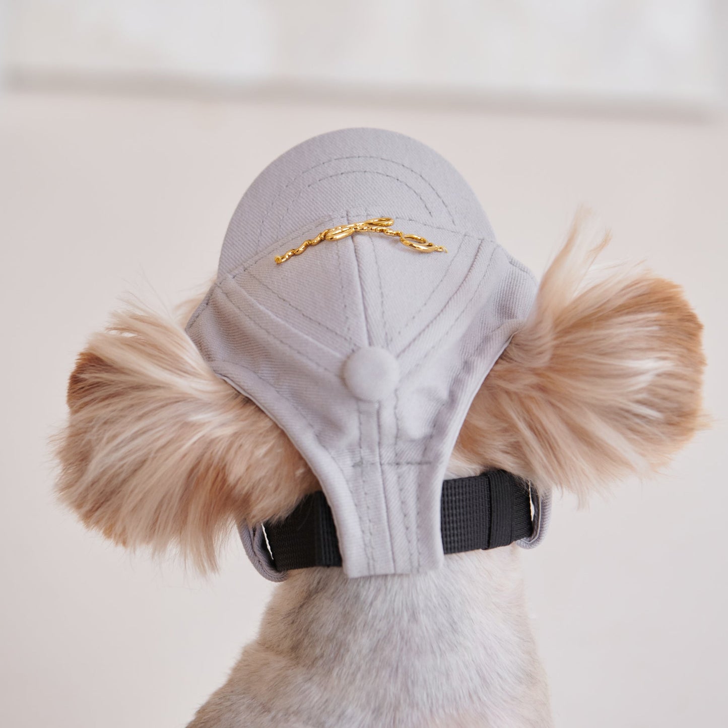 Puppy Cap With Golden Logo by OVERGLAM DS (GREY)