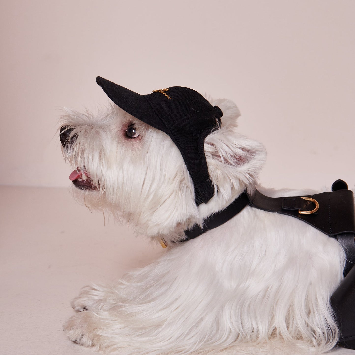 Puppy Cap With Golden Logo by OVERGLAM DS (BLACK)
