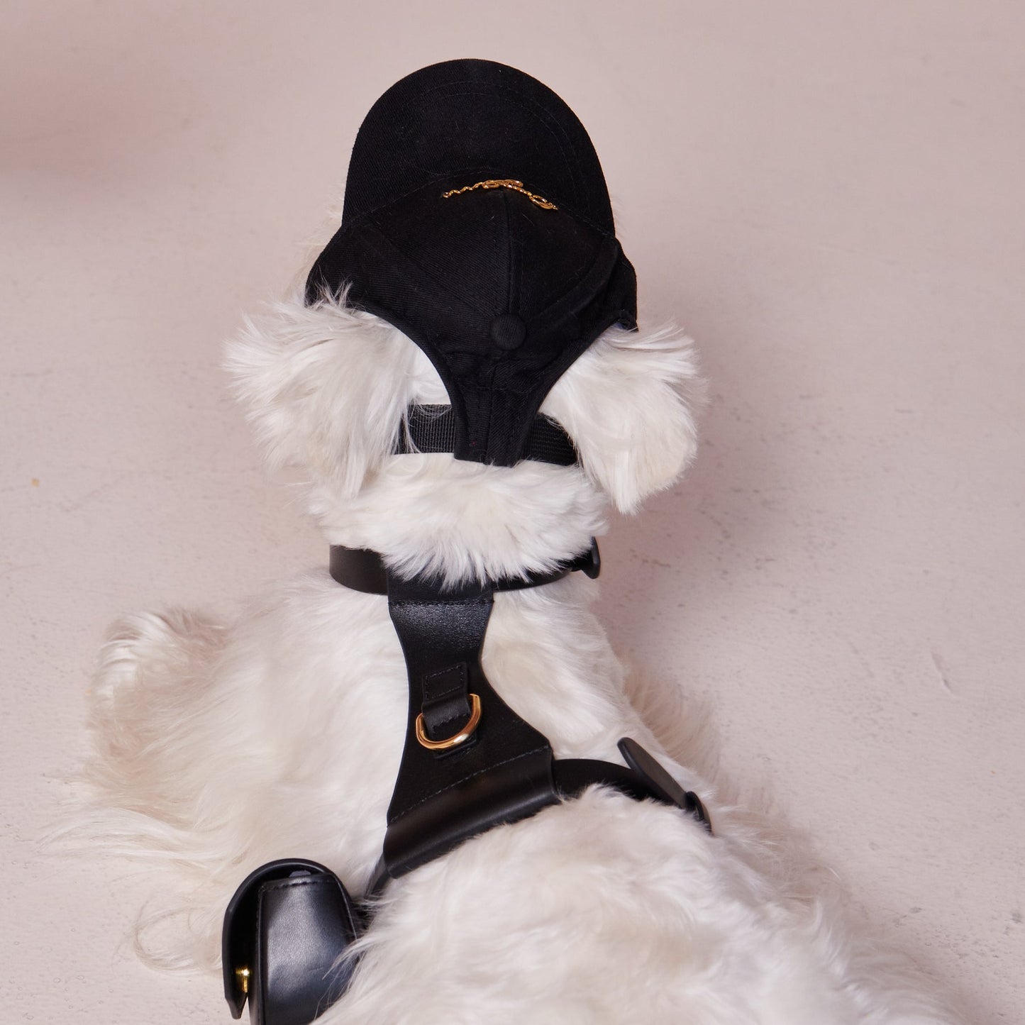 Puppy Cap With Golden Logo by OVERGLAM DS (BLACK)