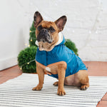 Load image into Gallery viewer, INSULATED DOG RAINCOAT by GF PET WDS (DARK BLUE)
