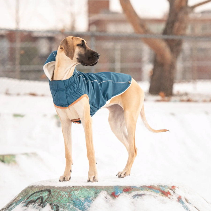 INSULATED DOG RAINCOAT by GF PET WDS (DARK BLUE)