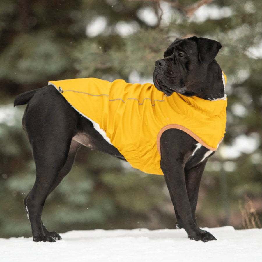 INSULATED DOG RAINCOAT by GF PET WDS (YELLOW)