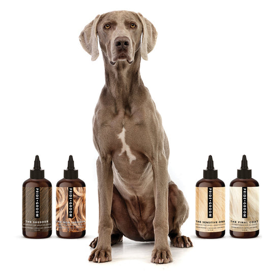 THE WASH SAMPLE PACK — Try PRIDE+GROOM's Best-Selling Dog Shampoos & Conditioner