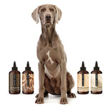 Load image into Gallery viewer, THE WASH SAMPLE PACK — Try PRIDE+GROOM&#39;s Best-Selling Dog Shampoos &amp; Conditioner
