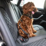 Load image into Gallery viewer, SEAT BELT TETHER by GF PET WDS (BLACK)
