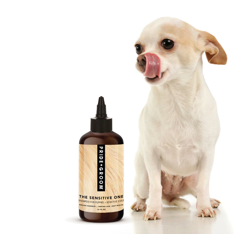 THE SENSITIVE ONE by PRIDE+GROOM WDS (16 OZ)