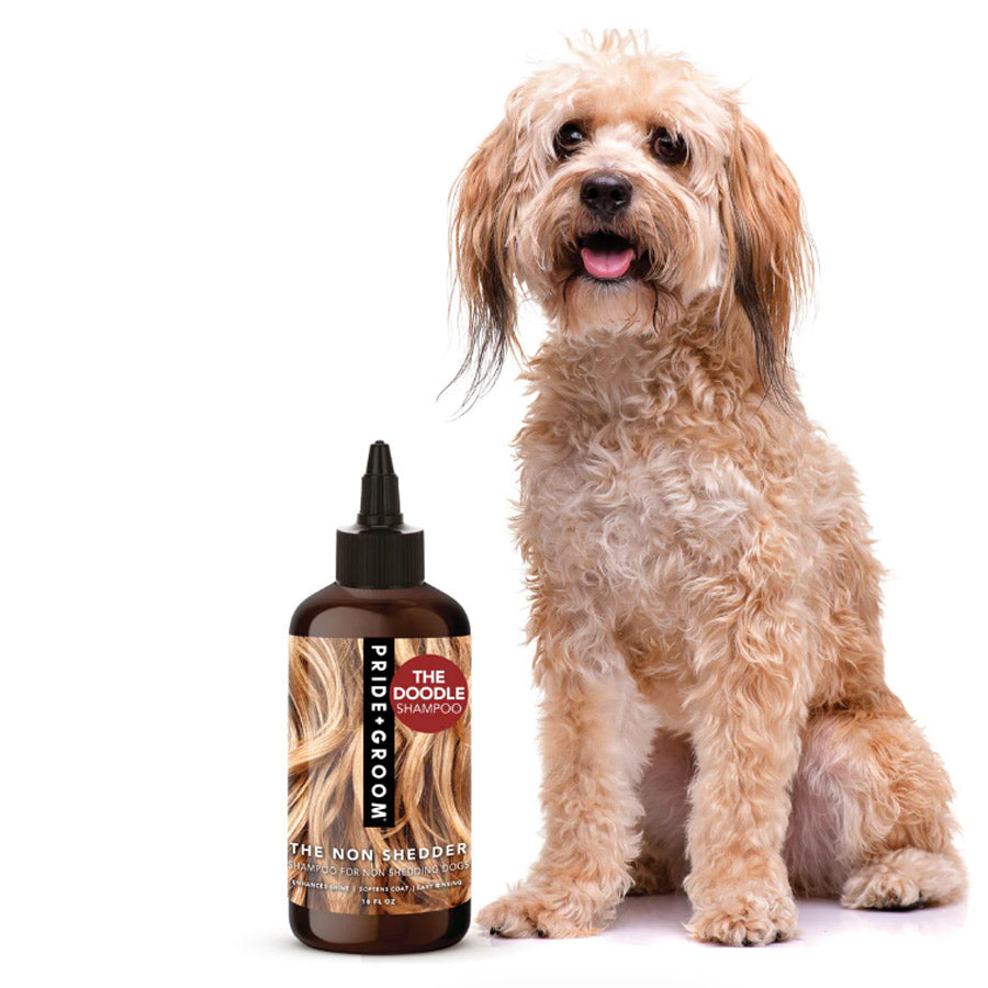 THE NON SHEDDER by PRIDE+GROOM WDS (16 OZ)