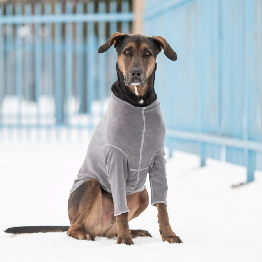 GONDOLA BASE LAYER FOR DOGS by GF PET WDS (CHARCOAL)