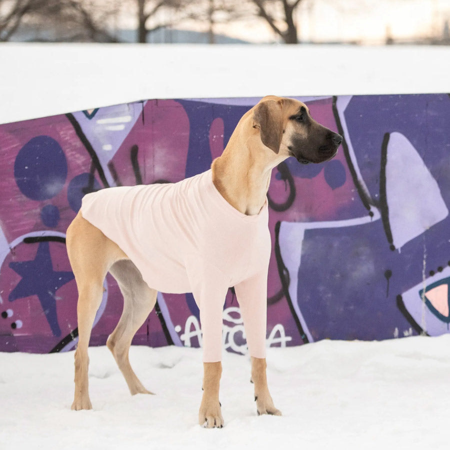 GONDOLA BASE LAYER FOR DOGS by GF PET WDS (PINK)