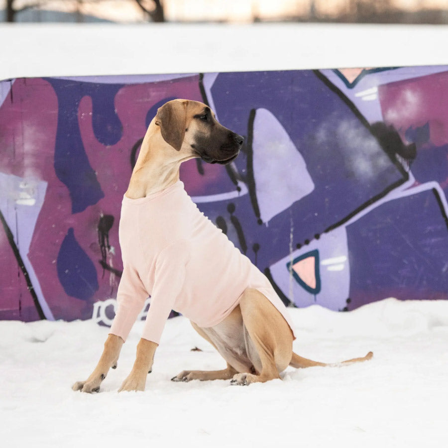 GONDOLA BASE LAYER FOR DOGS by GF PET WDS (PINK)