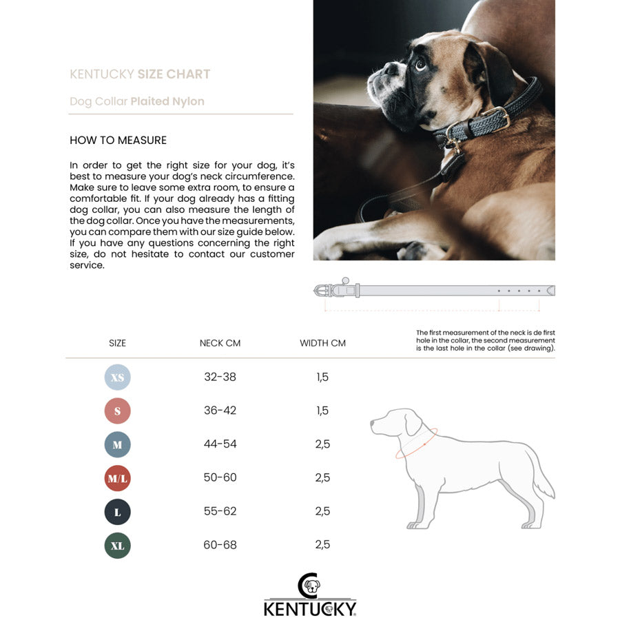 PLAITED NYLON DOG COLLAR by KENTUCKY WS (BORDEAUX)