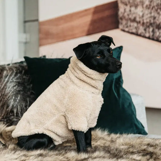 DOG SWEATER TEDDY FLEECE by KENTUCKY WS (BEIGE)