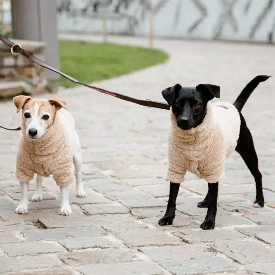 DOG SWEATER TEDDY FLEECE by KENTUCKY WS (BEIGE)