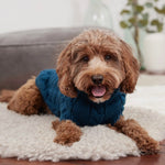 Load image into Gallery viewer, CHALET DOG SWEATER by GF PET WDS (DARK TEAL)
