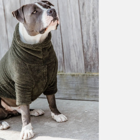 DOG SWEATER TEDDY FLEECE by KENTUCKY WS (PINE GREEN)