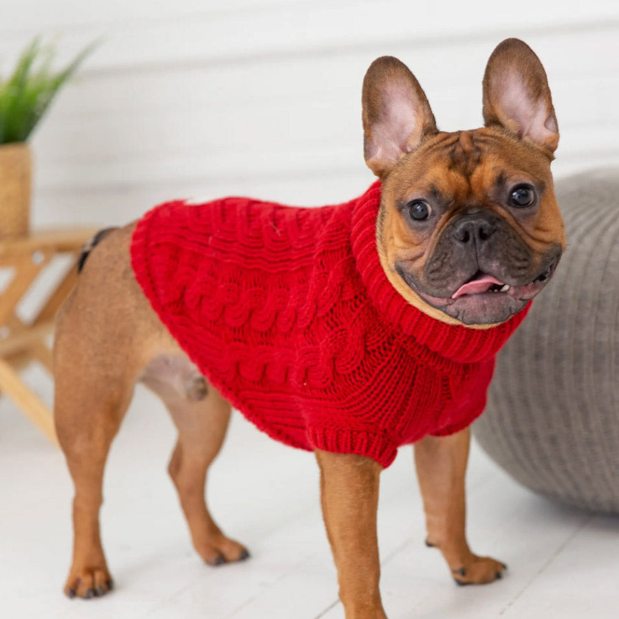 CHALET DOG SWEATER by GF PET WDS (RED)