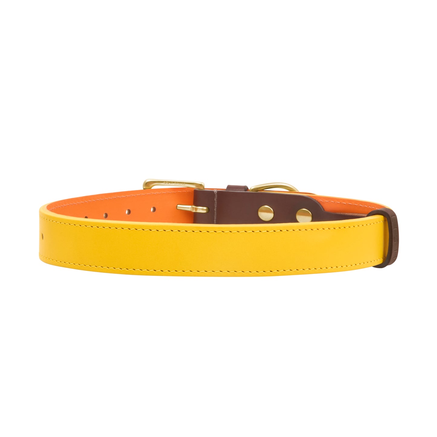 Spencer Buttercup Yellow Luxury Leather Designer Dog Collar by LISH LONDON