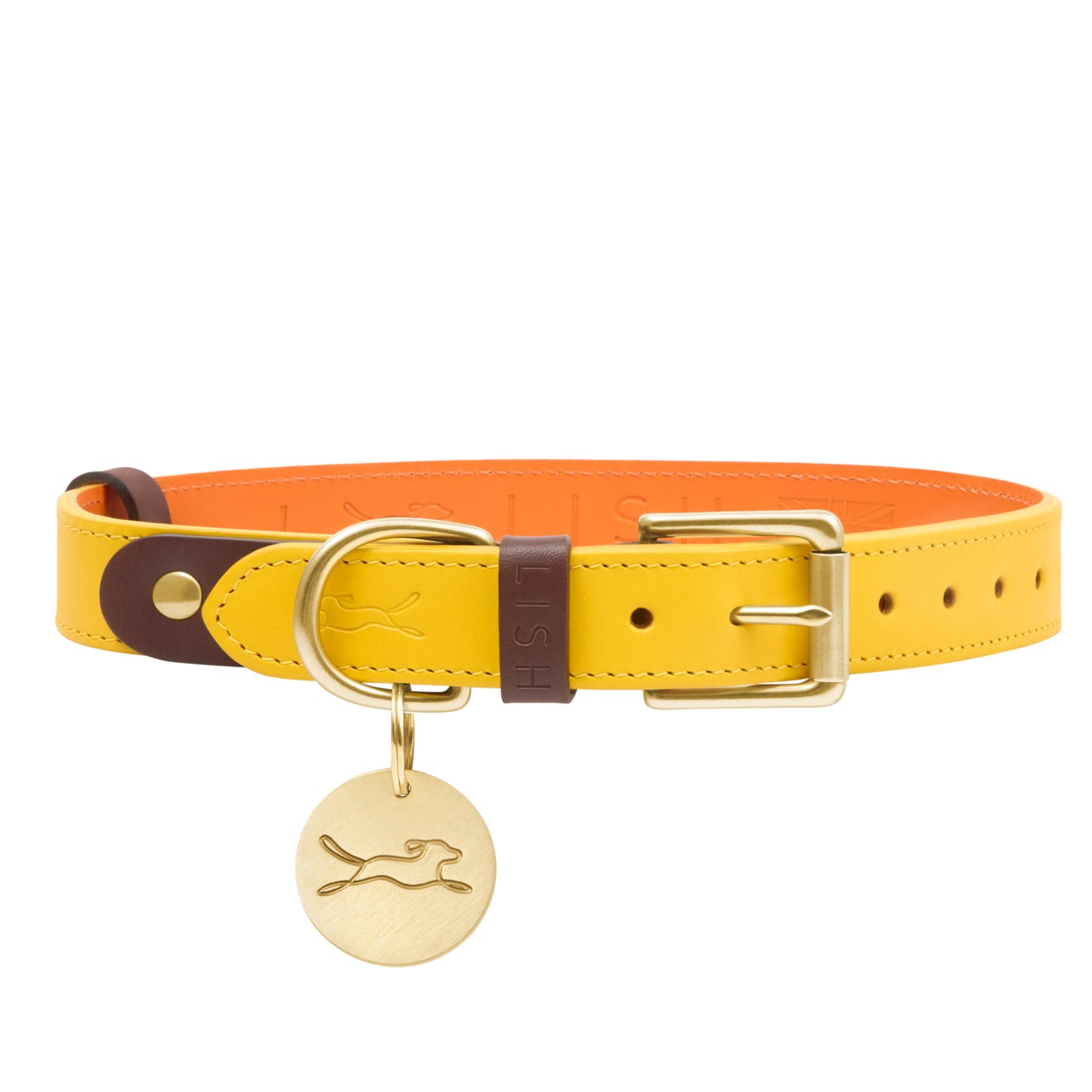 Spencer Buttercup Yellow Luxury Leather Designer Dog Collar by LISH LONDON