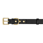 Load image into Gallery viewer, Spencer Truffle Black Luxury Leather Designer Dog Collar by LISH LONDON
