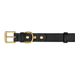 Spencer Truffle Black Luxury Leather Designer Dog Collar by LISH LONDON