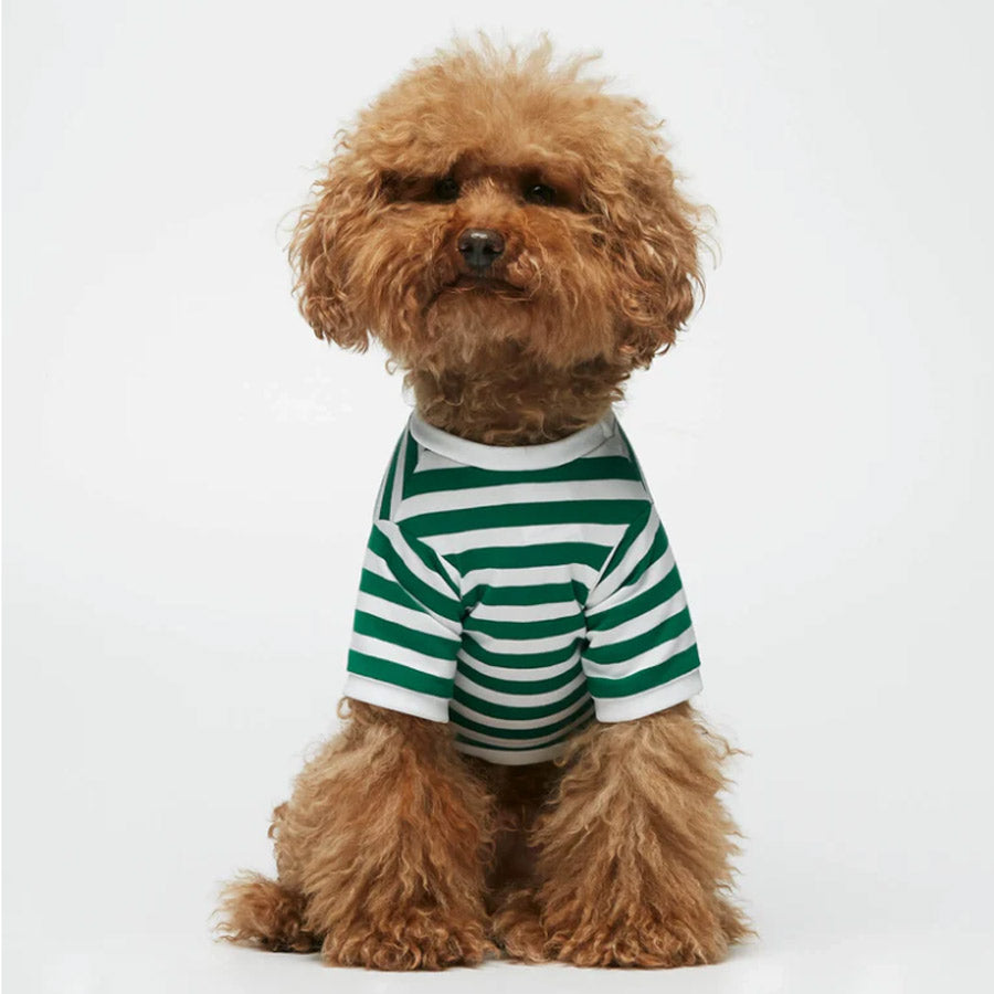 DAVID ORGANIC COTTON DOG T-SHIRT by THE PAINTER'S WIFE (GREEN)