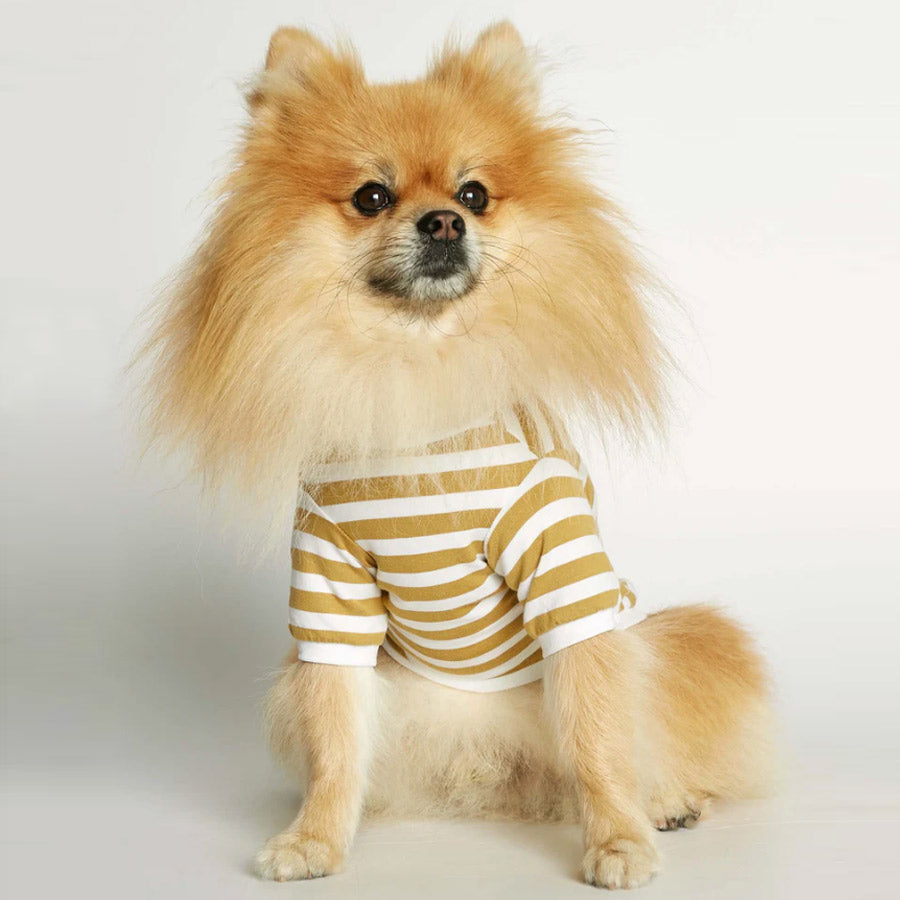 DAVID ORGANIC COTTON DOG T-SHIRT by THE PAINTER'S WIFE(YELLOW)