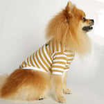 Load image into Gallery viewer, DAVID ORGANIC COTTON DOG T-SHIRT by THE PAINTER&#39;S WIFE(YELLOW)
