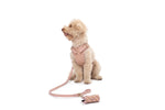 Load image into Gallery viewer, LEATHER LEASH by POLDO DOG COUTURE
