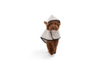 Load image into Gallery viewer, BATHROBE by POLDO DOG COUTURE
