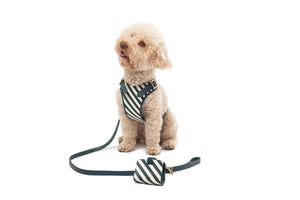LEATHER LEASH by POLDO DOG COUTURE