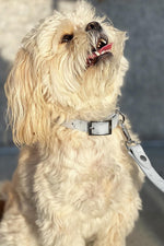 Load image into Gallery viewer, Taylor Ostrich Effect Collar (EXCLUSIVE)
