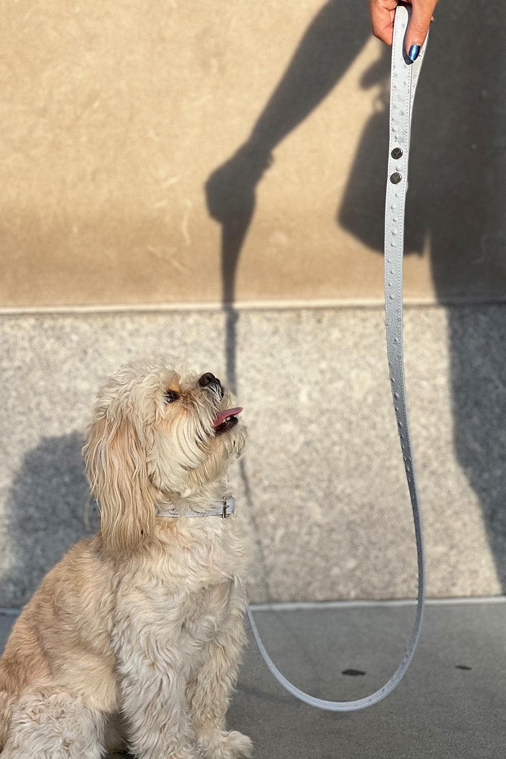 Taylor Ostrich Effect Collar (EXCLUSIVE)