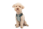 Load image into Gallery viewer, STRIPED HARNESS by POLDO DOG COUTURE
