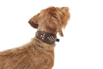 Load image into Gallery viewer, LEATHER GREYHOUND COLLAR by POLDO DOG COUTURE
