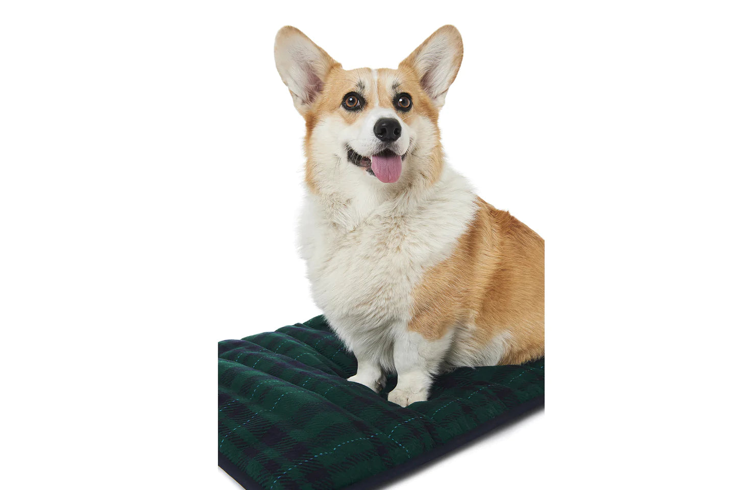 PORTABLE BED by POLDO DOG COUTURE