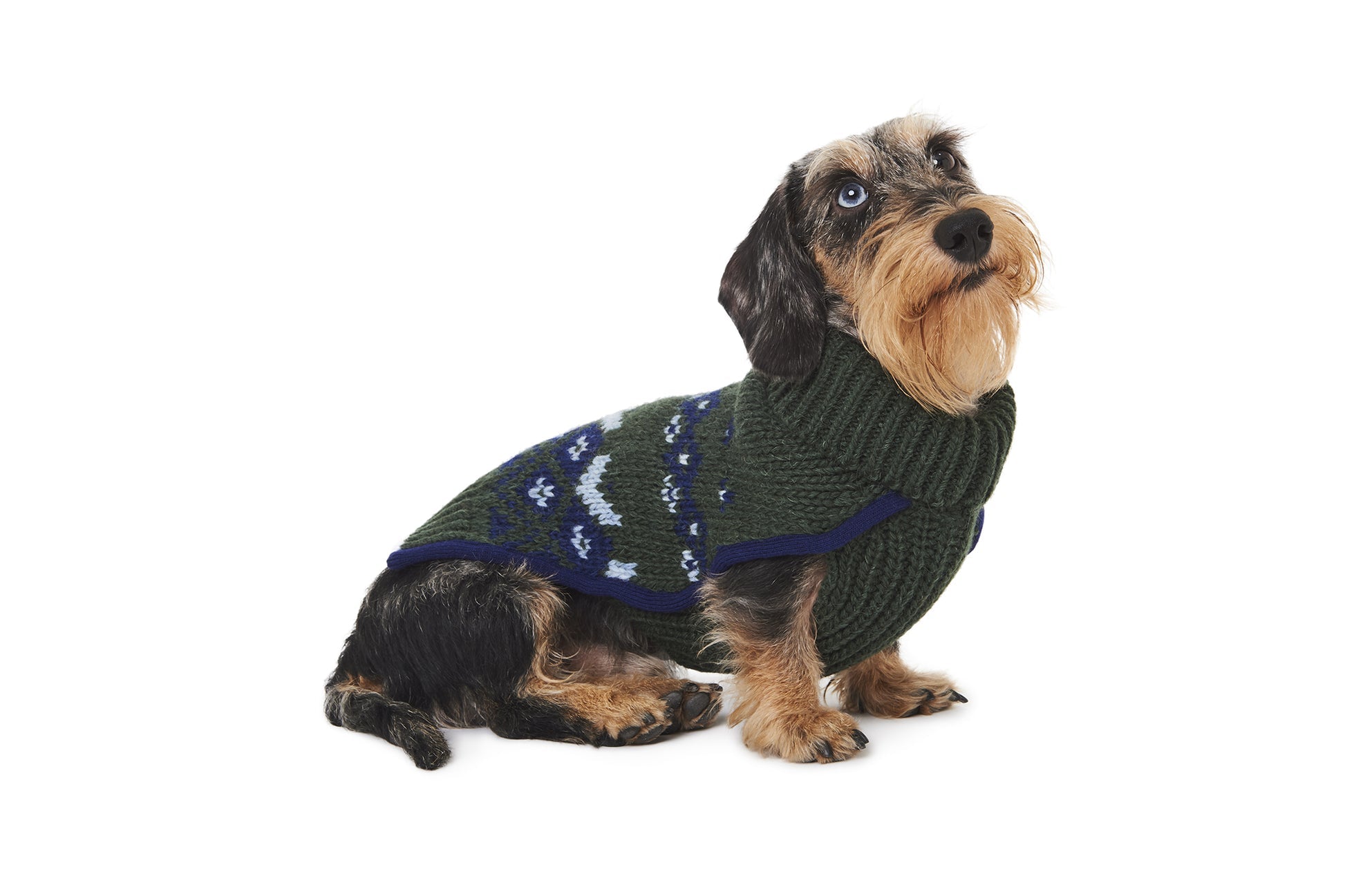 INTARSIA SWEATER by POLDO DOG COUTURE