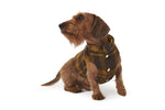 Load image into Gallery viewer, TRENTO WOOL by POLDO DOG COUTURE
