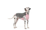 Load image into Gallery viewer, SOUL SWEATER by POLDO DOG COUTURE
