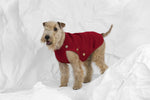 Load image into Gallery viewer, CORTINA by POLDO DOG COUTURE
