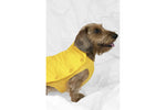 Load image into Gallery viewer, CORTINA by POLDO DOG COUTURE
