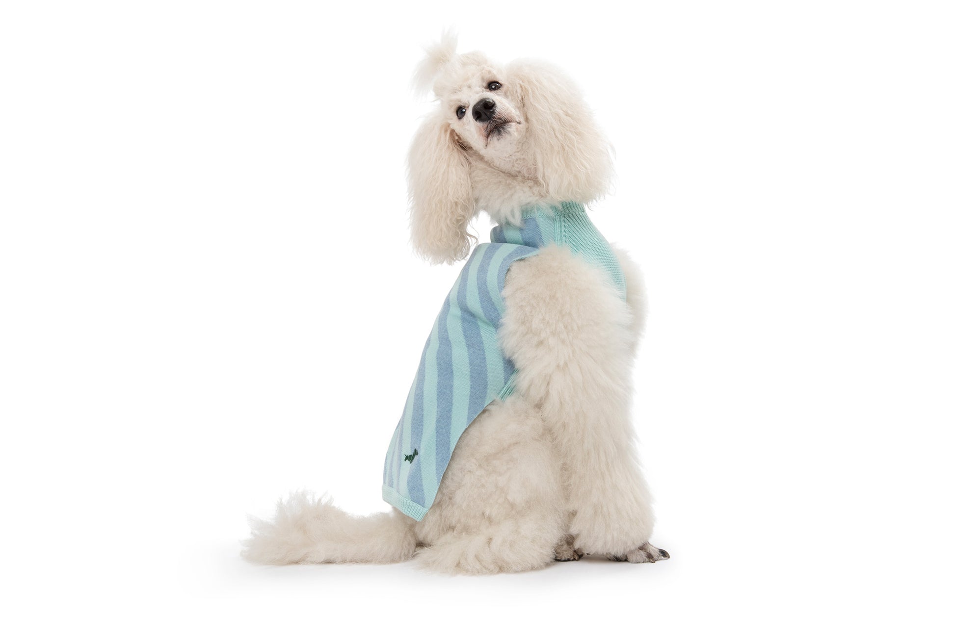 SOUL SWEATER by POLDO DOG COUTURE